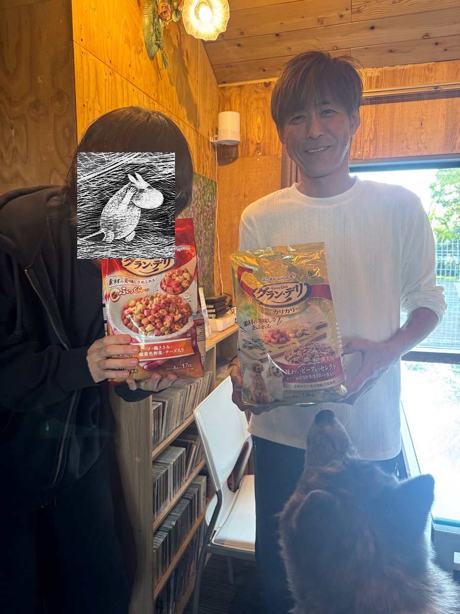 noris / ノーリス tweet media