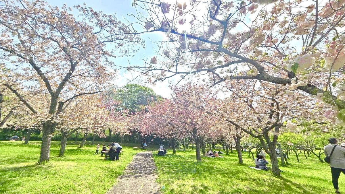 えざき舎@15周年 tweet media