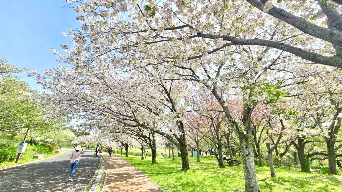 えざき舎@15周年 tweet media