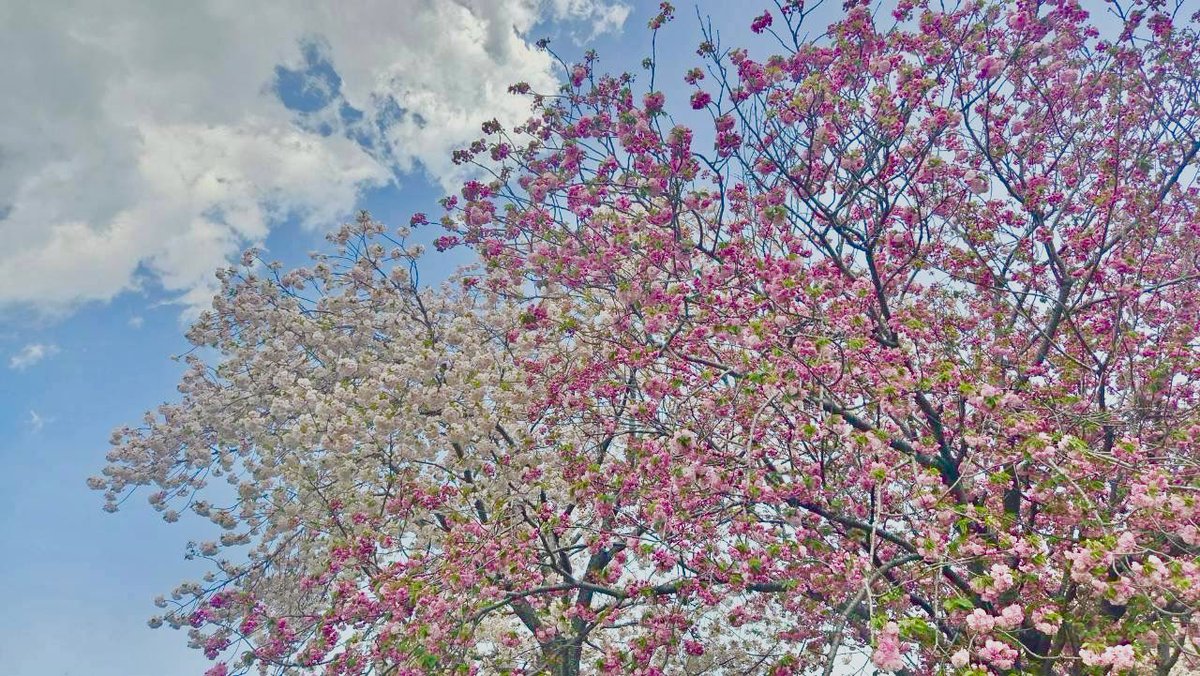 えざき舎@15周年 tweet media