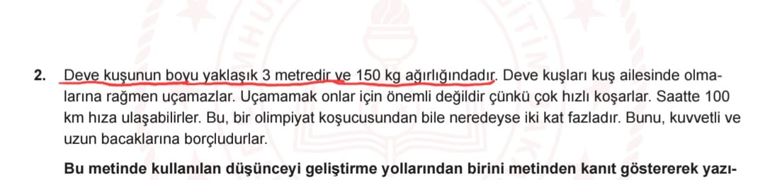 İlker Şahin 🇵🇸 tweet media