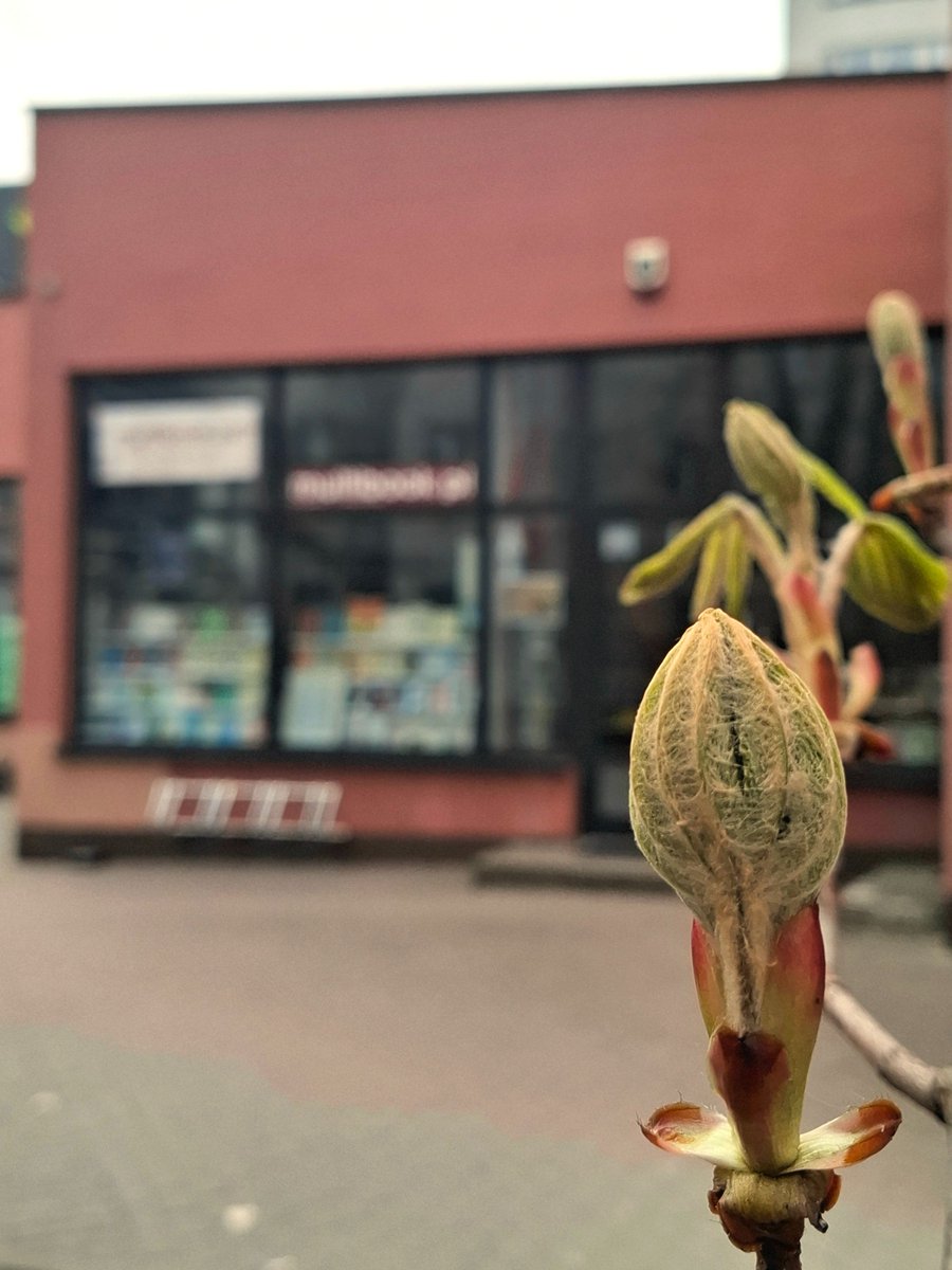 Multibook.pl Ulubiona Księgarnia Warszawy AD 2022 tweet media