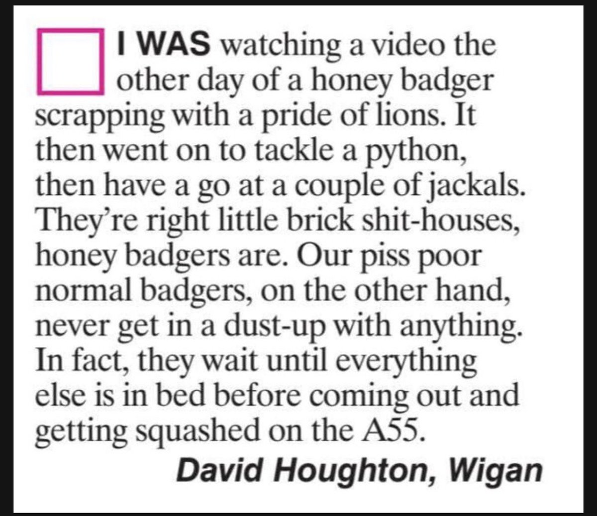 Julio Dos San-Hausen tweet media