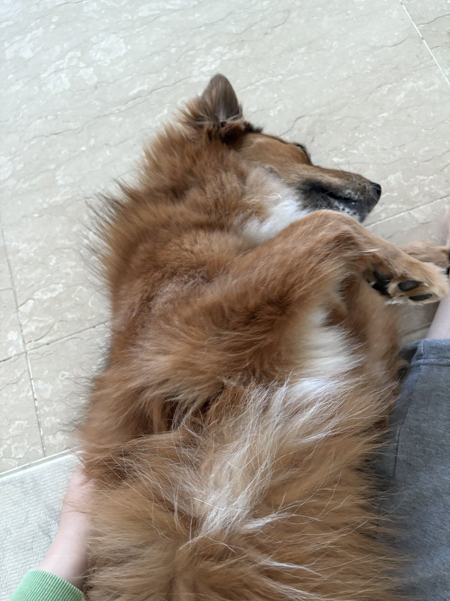 마진오 tweet media