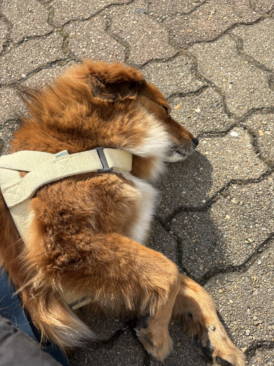 마진오 tweet media