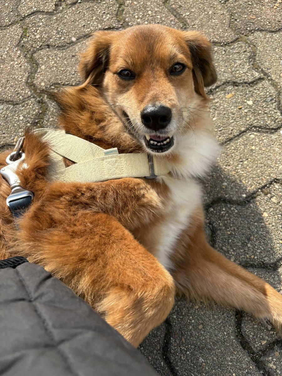 마진오 tweet media