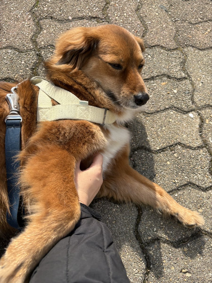 마진오 tweet media