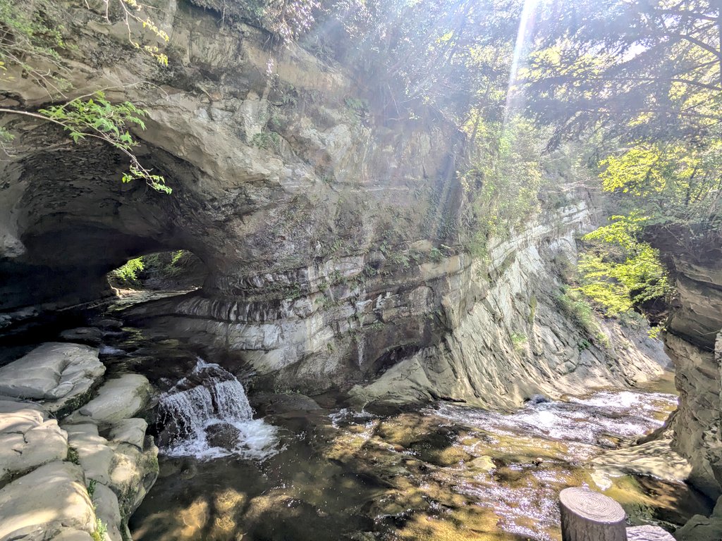 ばなな tweet media