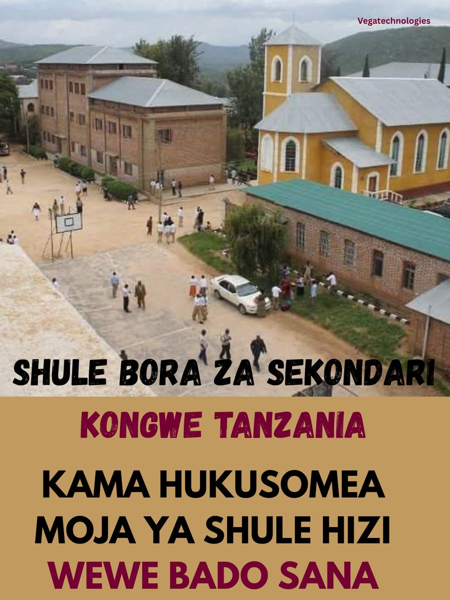 🇩 🇾 🇦 🇧 🇦 🇱 🇦 🇹🇿 tweet media