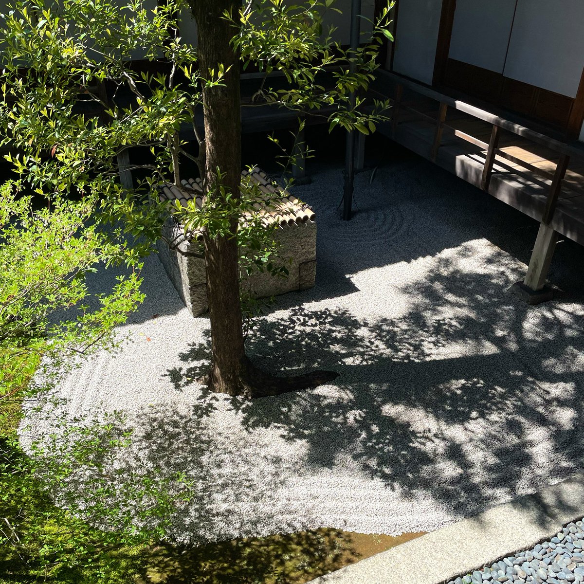 たろす tweet media