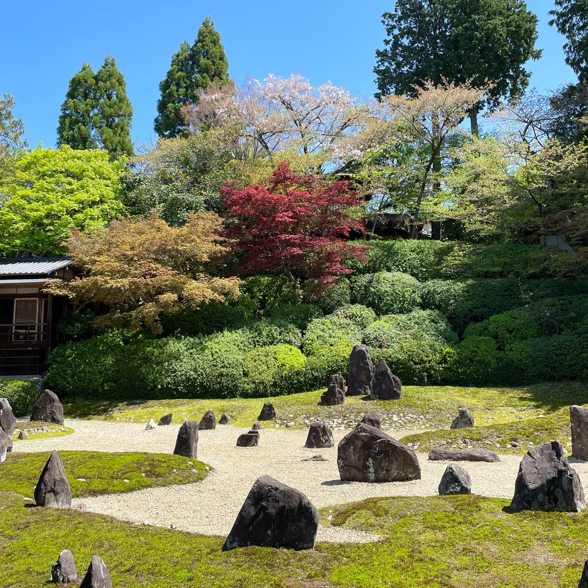 たろす tweet media