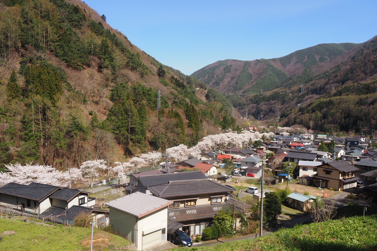 KT/けーてぃー tweet media