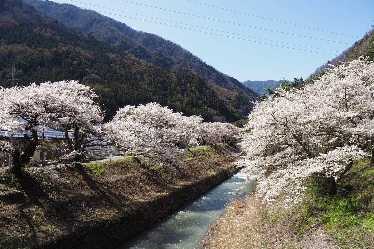 KT/けーてぃー tweet media