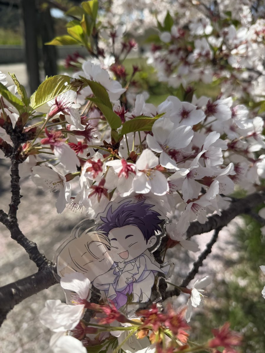 💟いっしき💟 tweet media