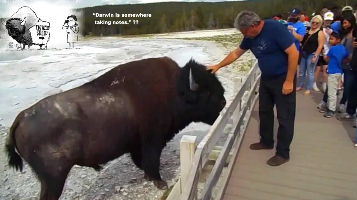 Golden Horizon Tours tweet media