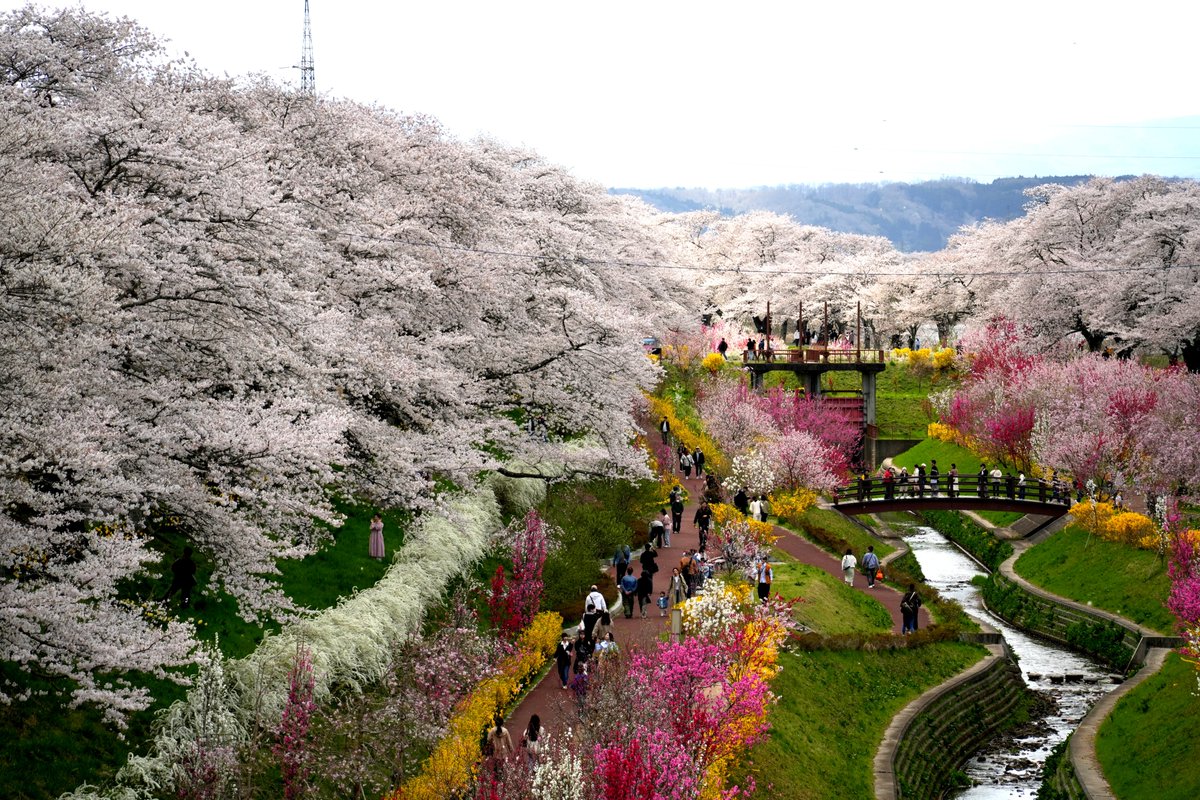 三浦英之　最新刊「日本で一番美しい県は岩手県である」 tweet media