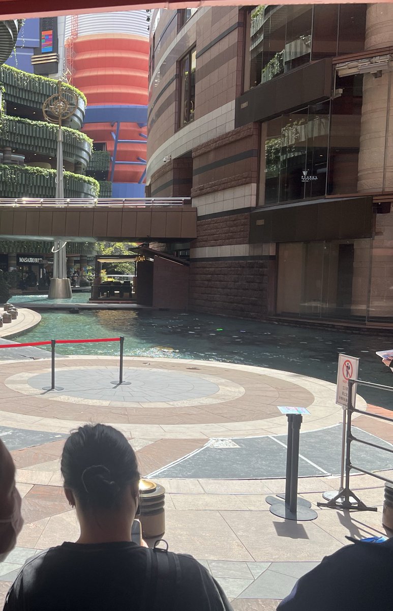 たくろー𓆡 tweet media