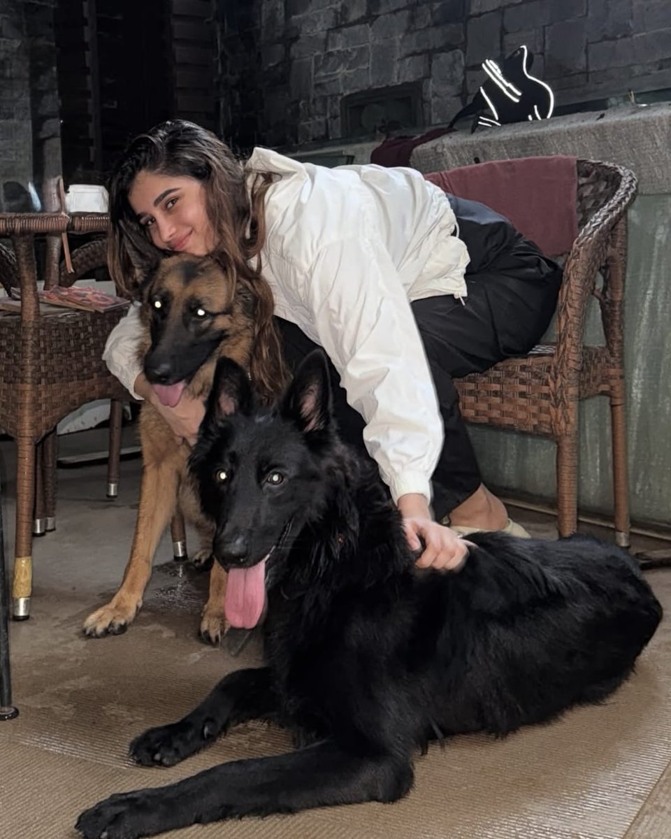 filmfare's tweet image. This #NationalPetDay, here's a look at #RashaThadani's cutest tribe. 🫶

#Celebs