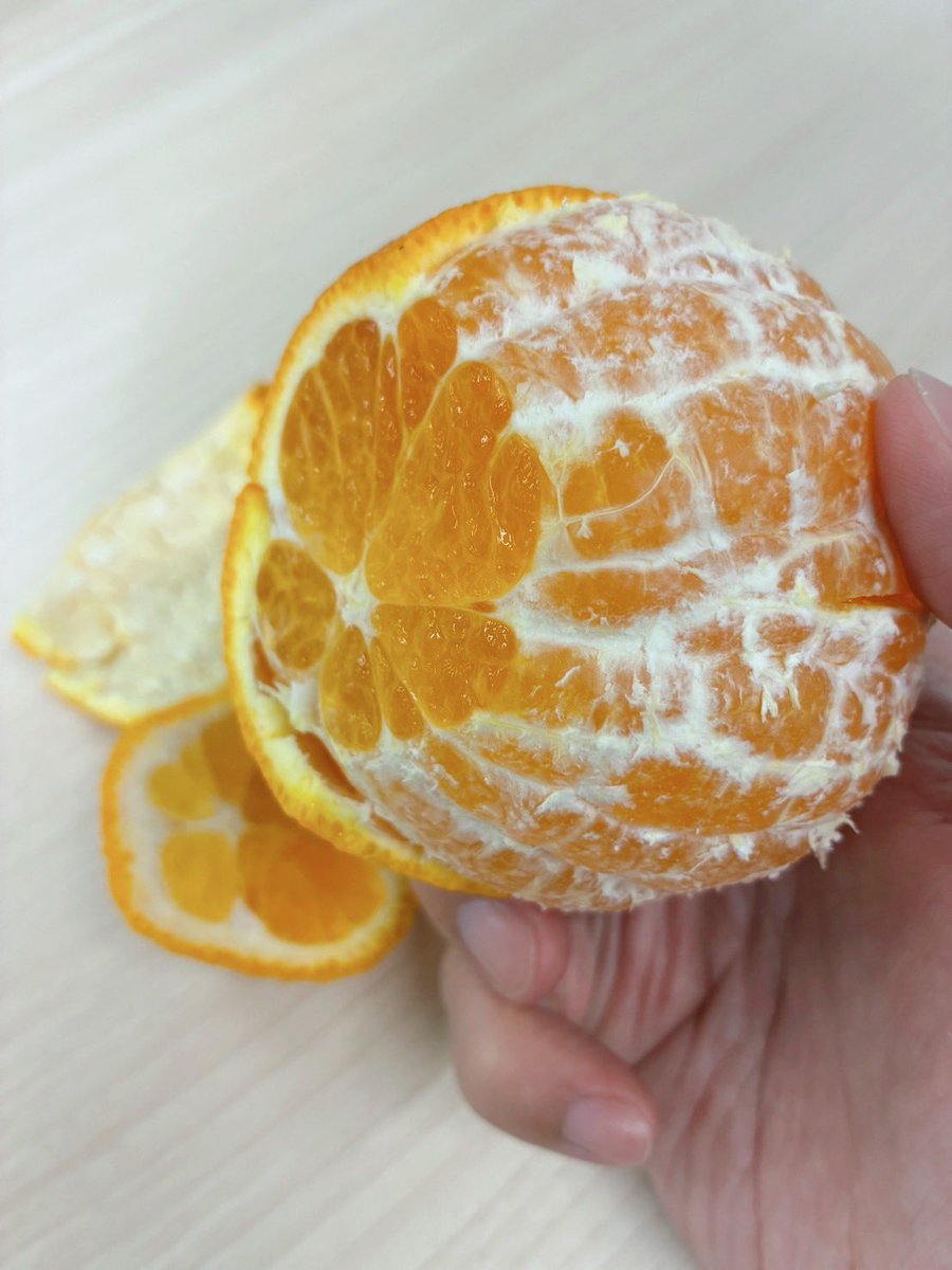 パッパ🦮 tweet media