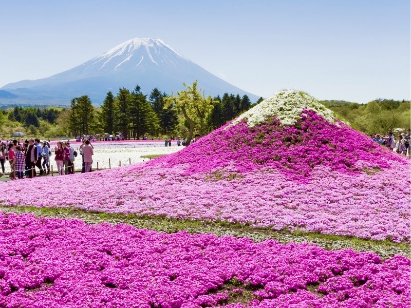 極上の旅図鑑 tweet media