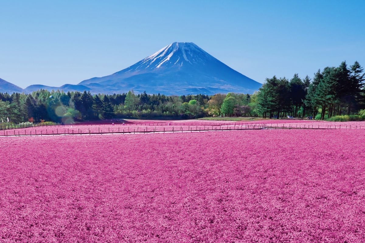 極上の旅図鑑 tweet media