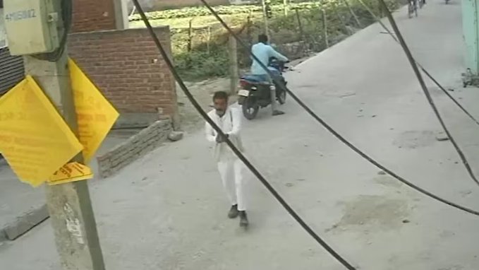 The Buzz tweet media