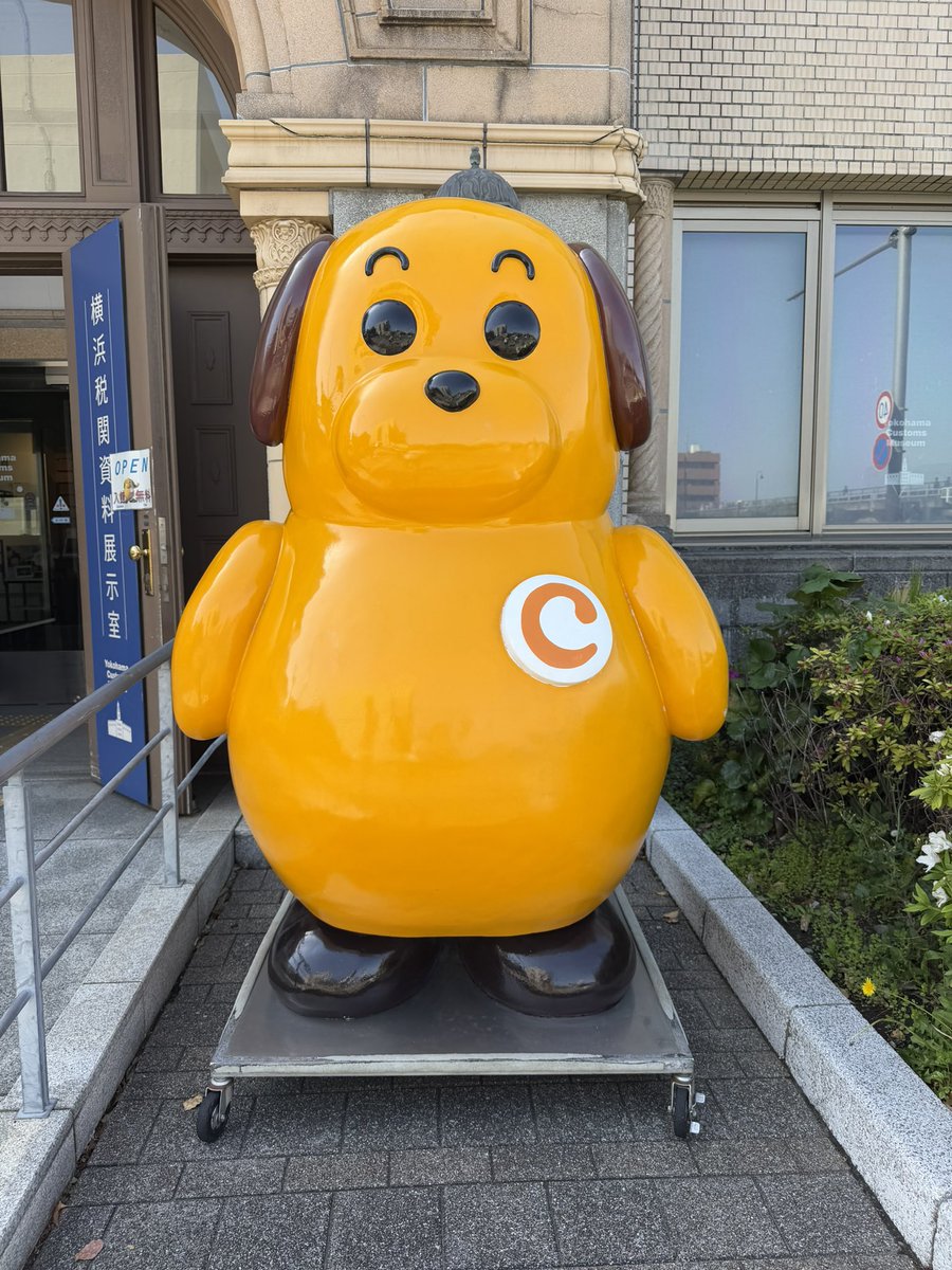 ゴリラパンツ tweet media