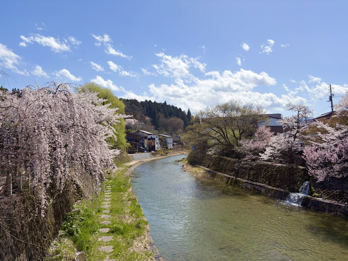 こあみん tweet media