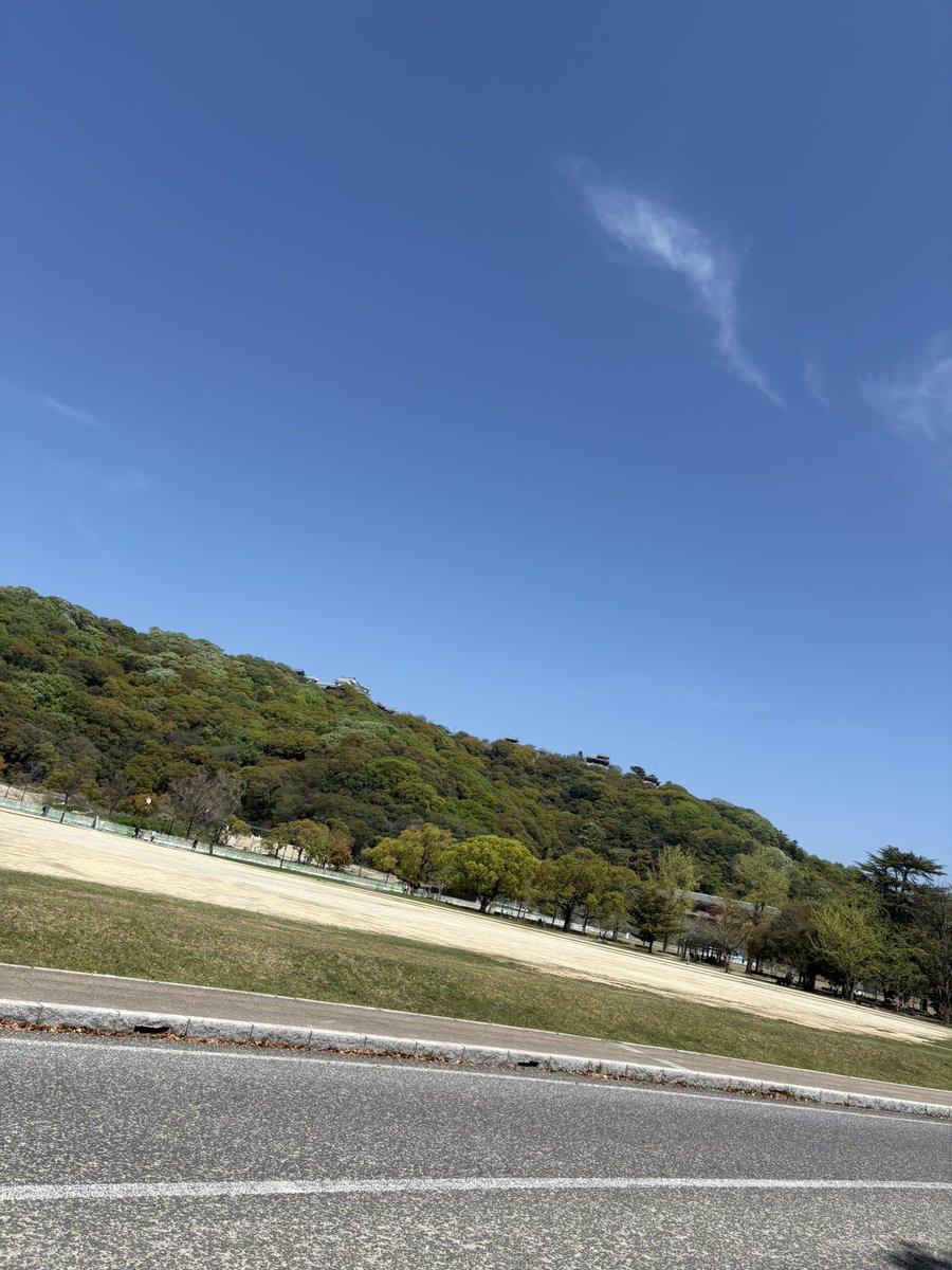 彩音.:*ʚïɞ*:. tweet media