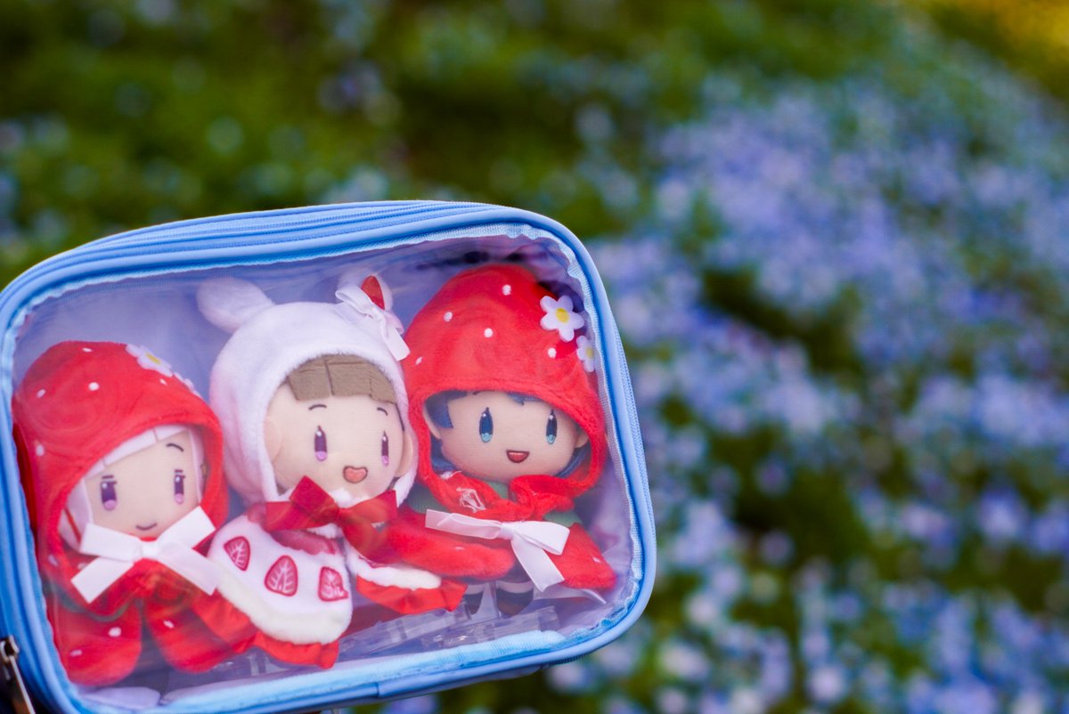 すいと🎺日常用 tweet media