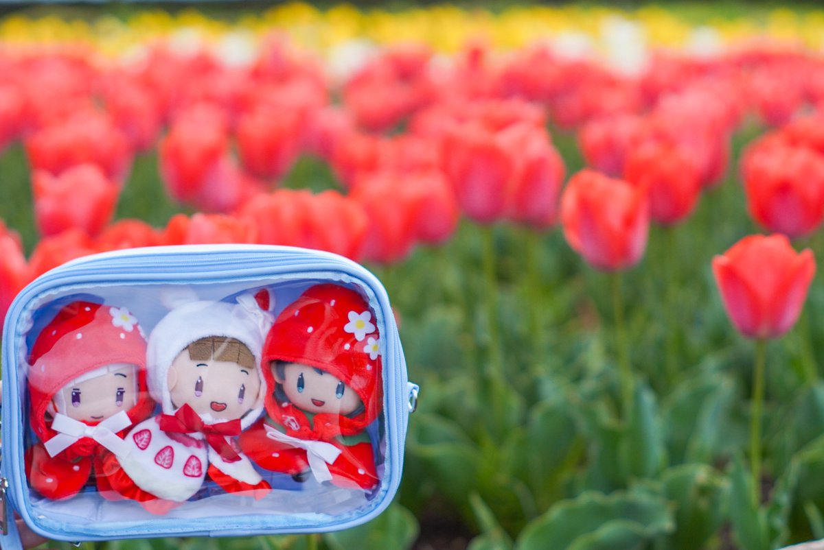 すいと🎺日常用 tweet media