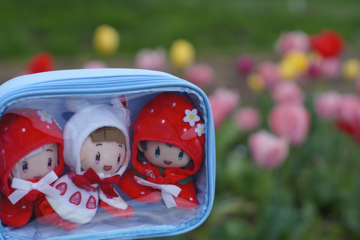 すいと🎺日常用 tweet media