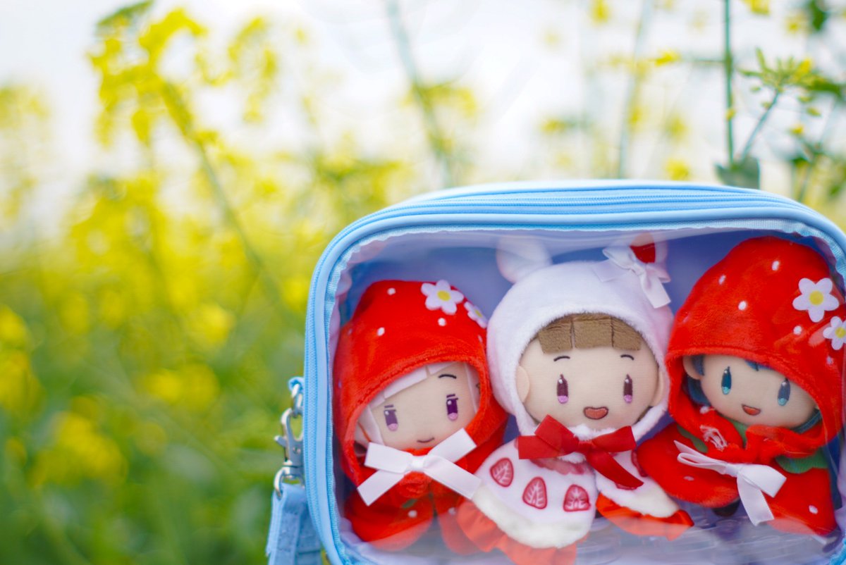 すいと🎺日常用 tweet media