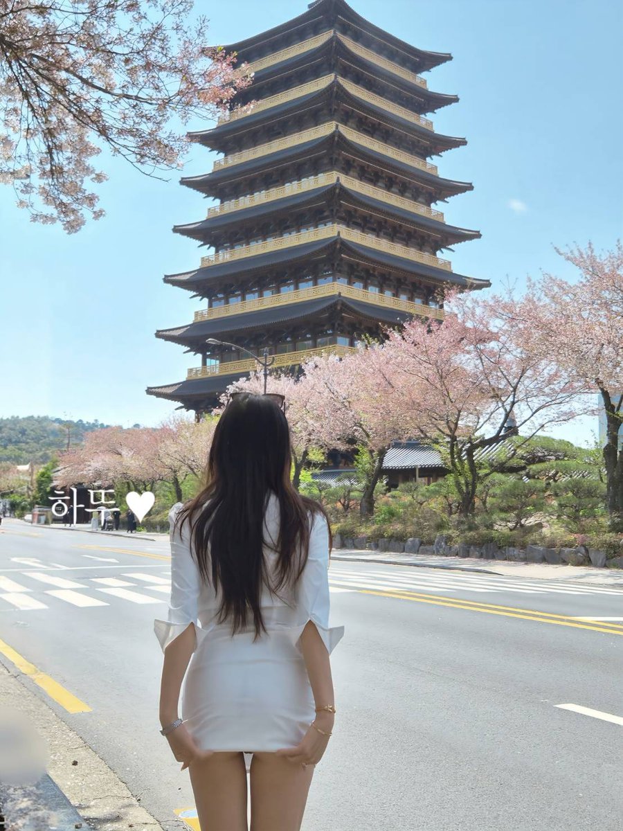 브래드♡하뚜 tweet media