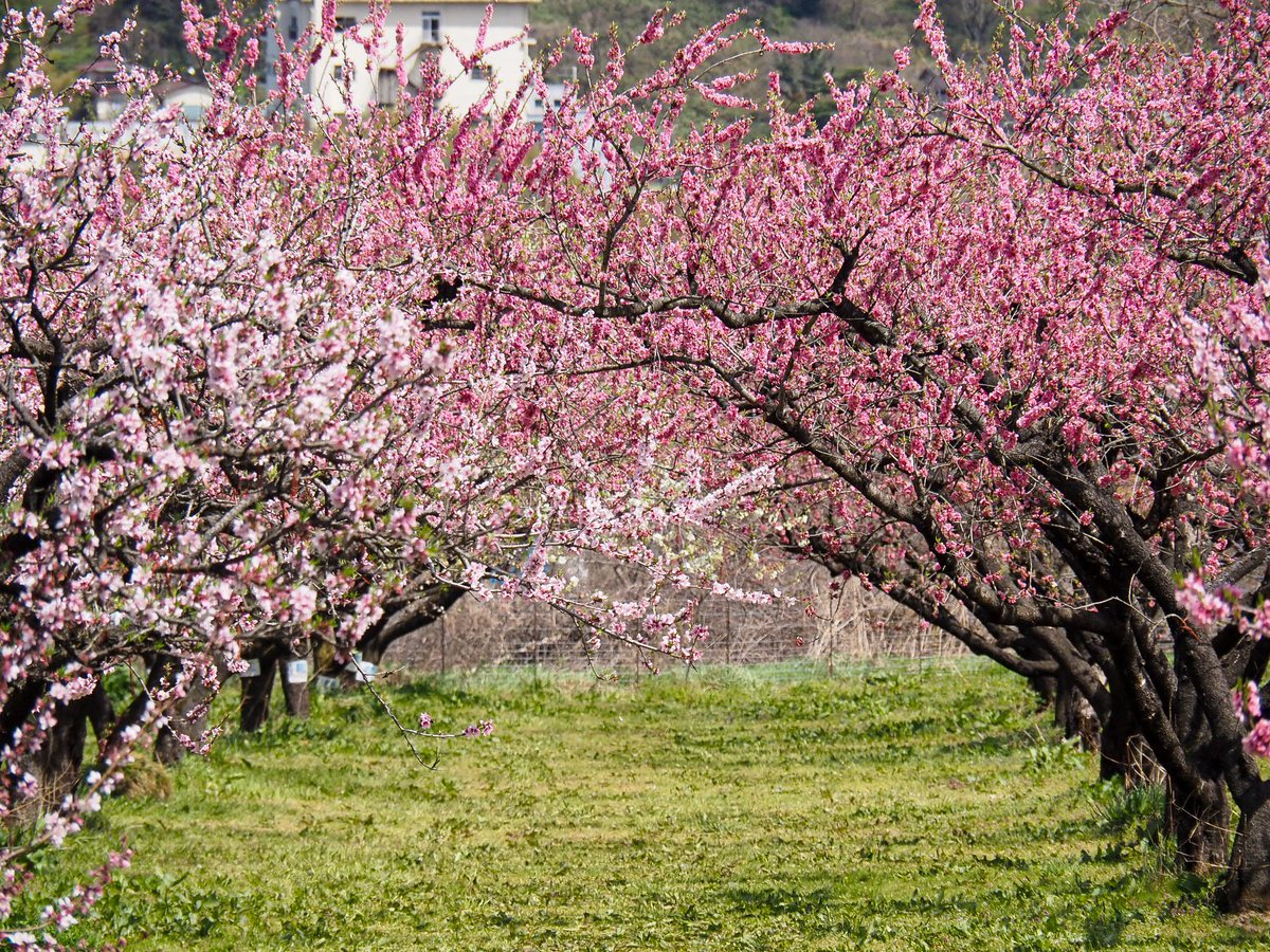 🤍Ako*°🤍 tweet media