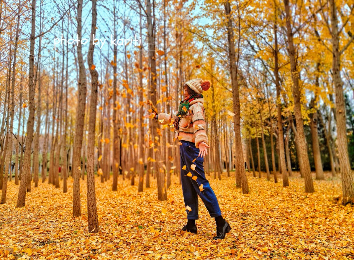 Brett Mundell tweet media