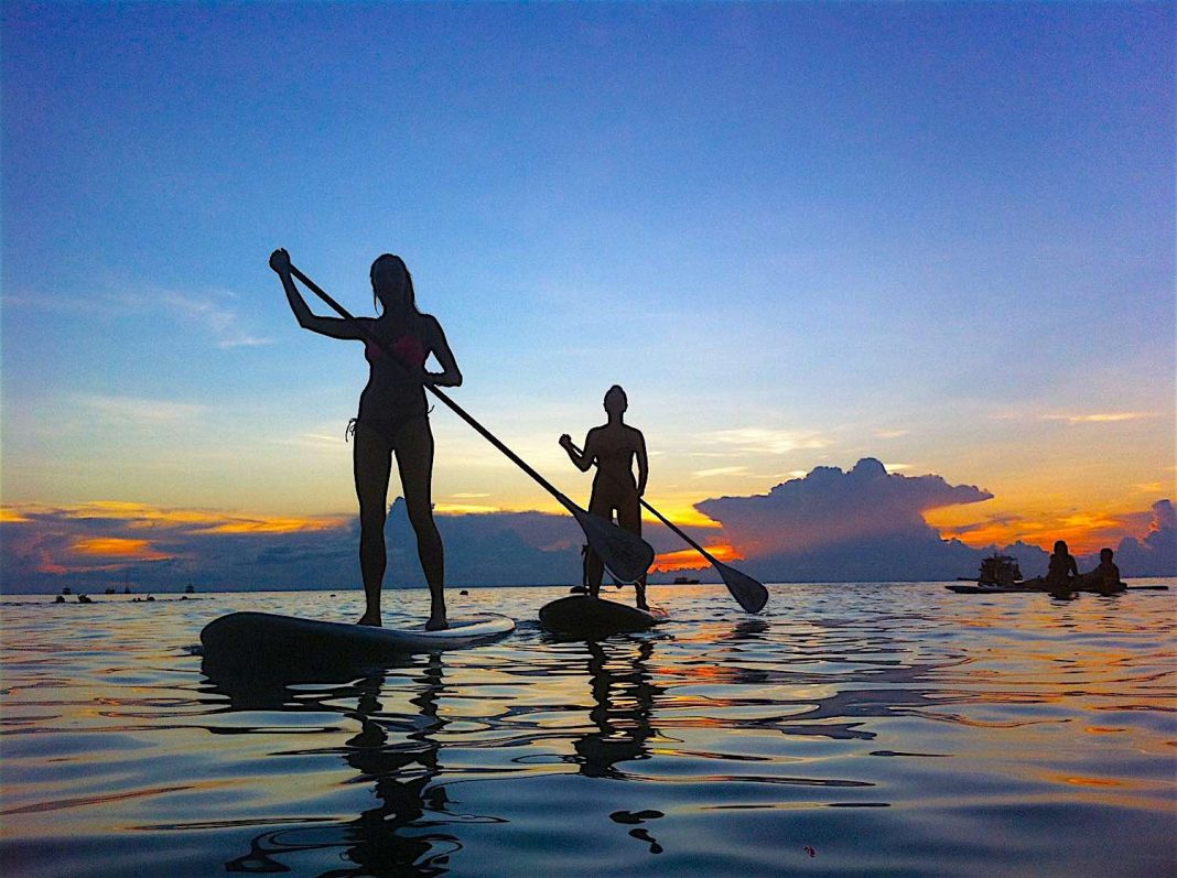 The Funky Turtle® tweet media