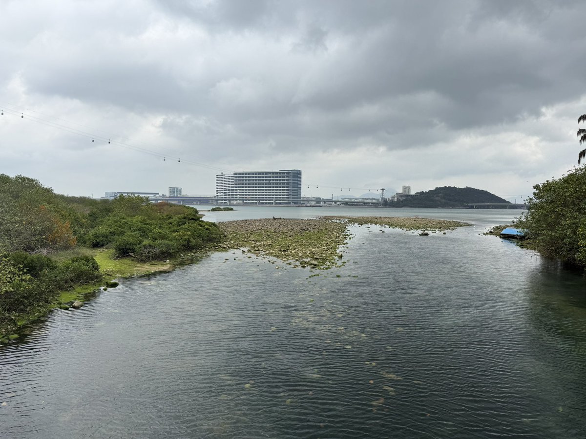 SofronioGY tweet media