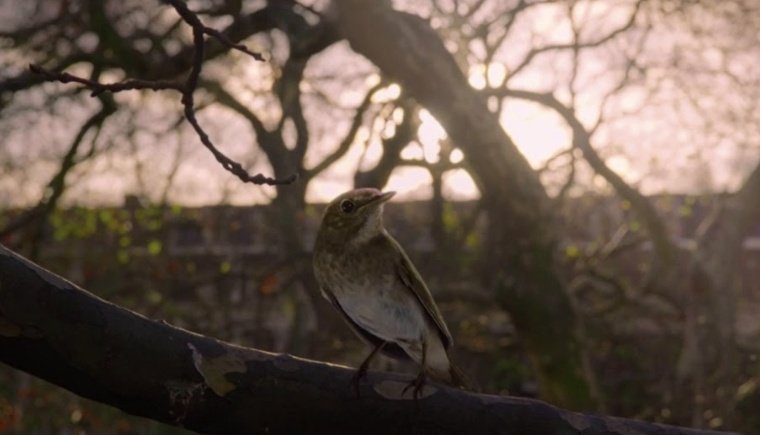 🍉 Doctor Disco✧˖*°࿐🎸 tweet media