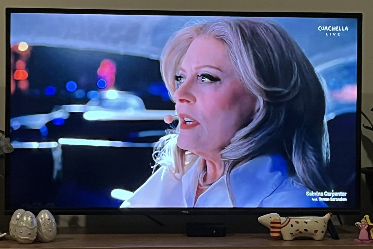 Pink Pony Pato tweet media