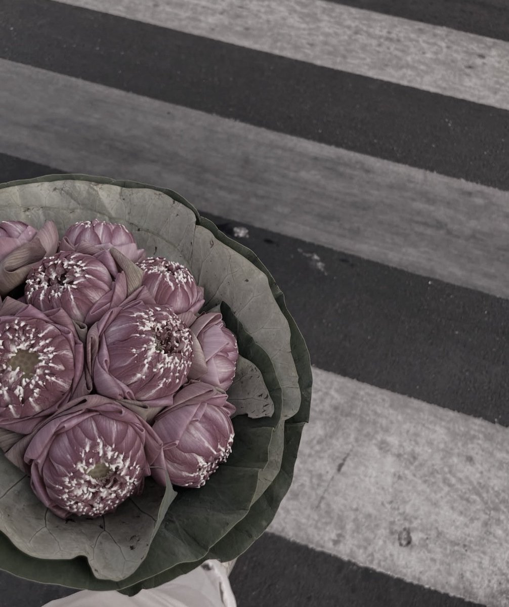 ㅤ
Selamat akhir pekan. 🪷
ㅤㅤ