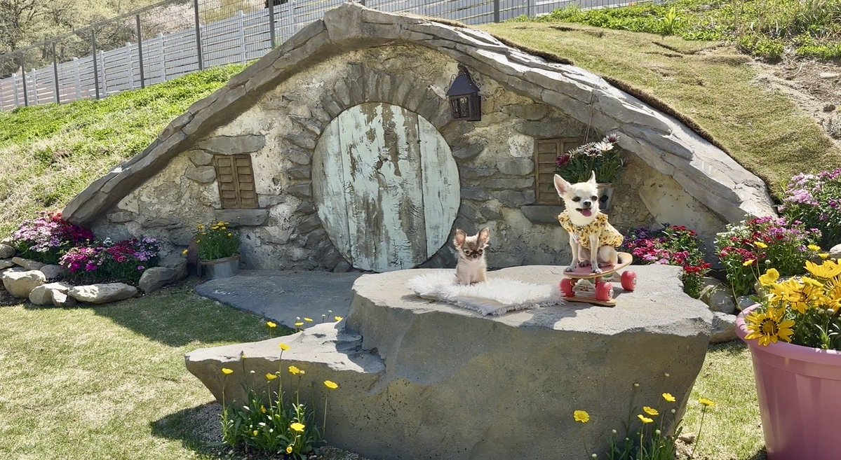 Ell's Park (エルズパーク) 長瀞さんで、来週末(4/18)にオープンするドッグランに特別に来てみました😄

パピコは昨年エルズパークさんのアンバサダーでした🐶

今度はキャンプで1泊したいですね😊