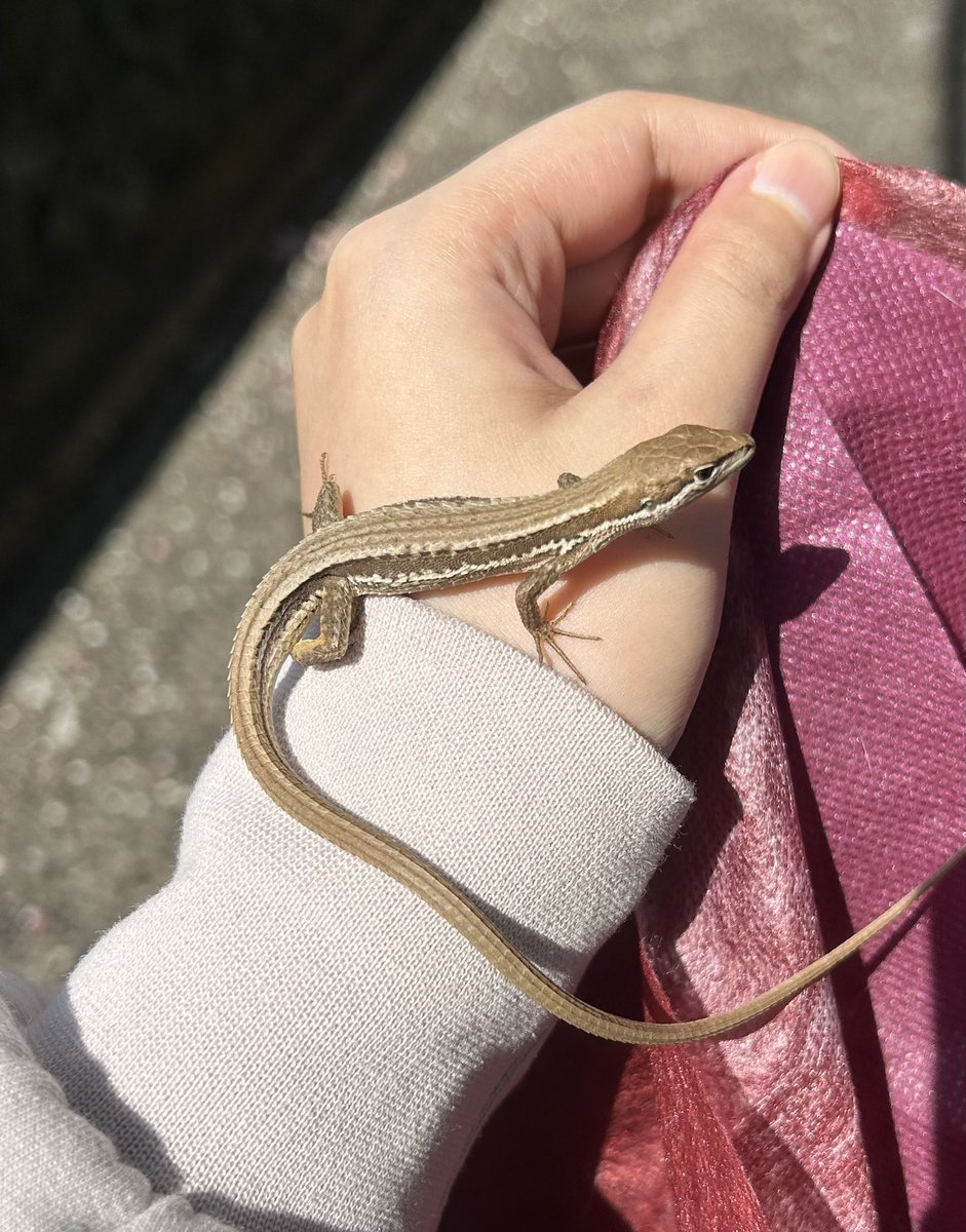 自分から！！！！手に！！！！私の手に！！！！！