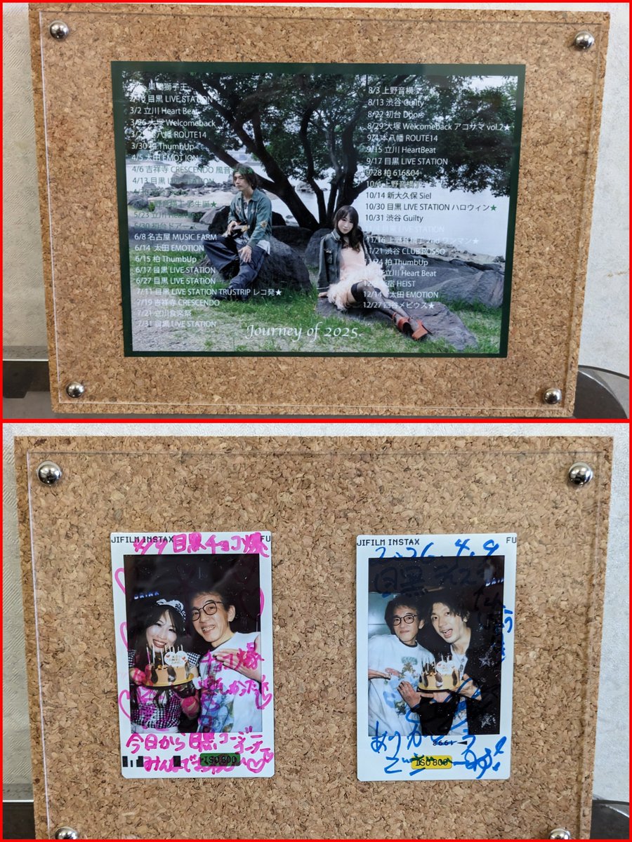 piloppy🐸 tweet media