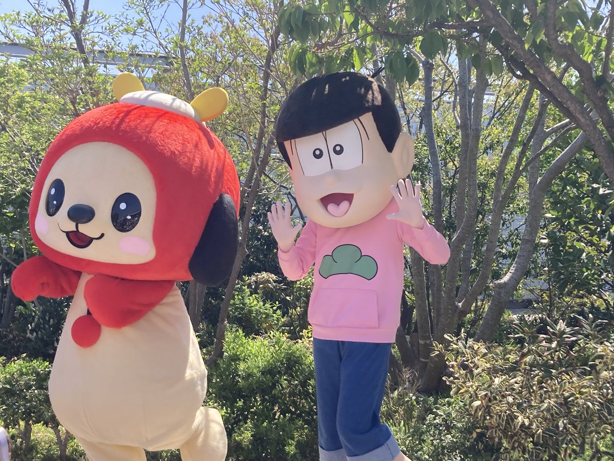 もにた【テレQ公式】 tweet media