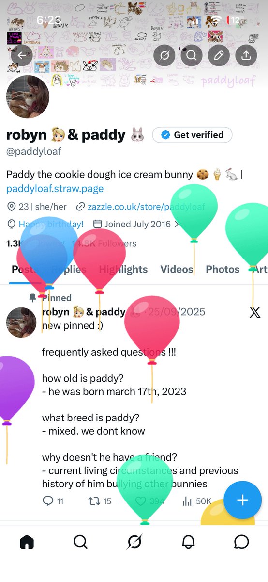 robyn 👱🏻♀️& paddy 🐰 tweet media