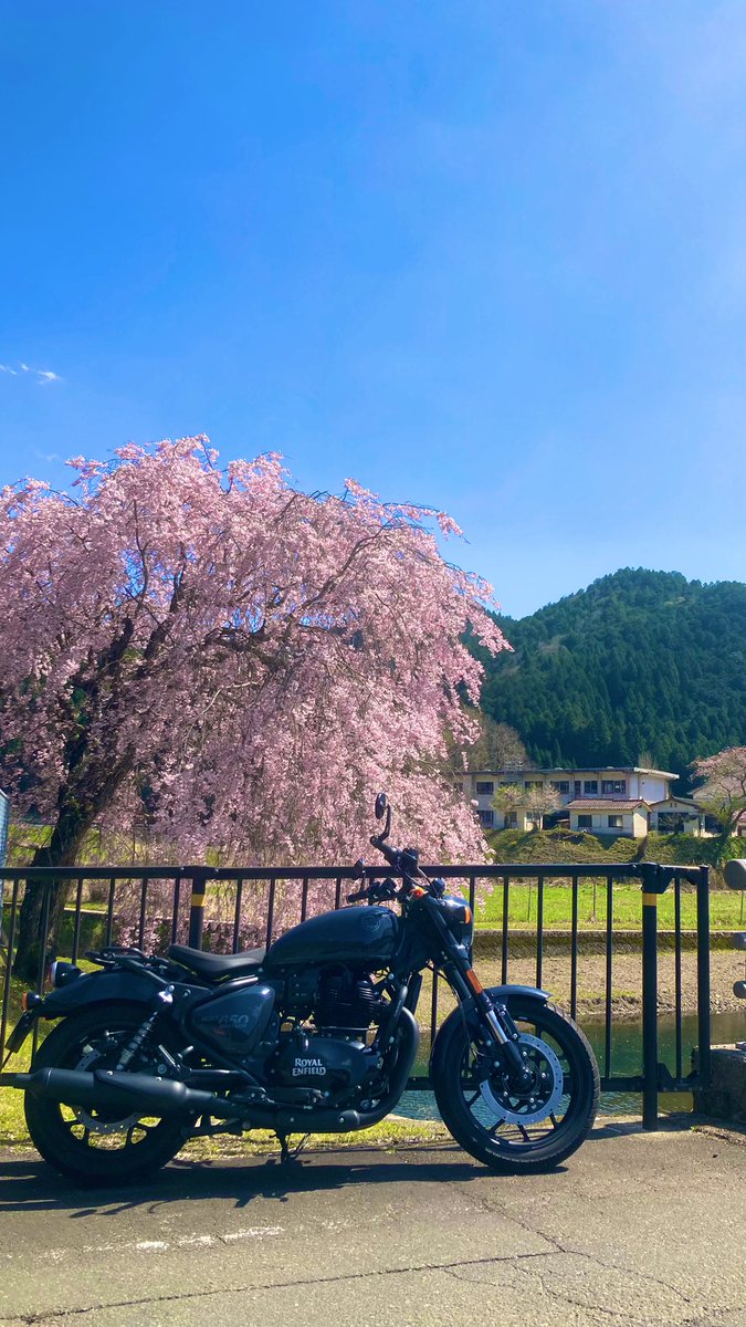 Mkoritaro🐩 tweet media