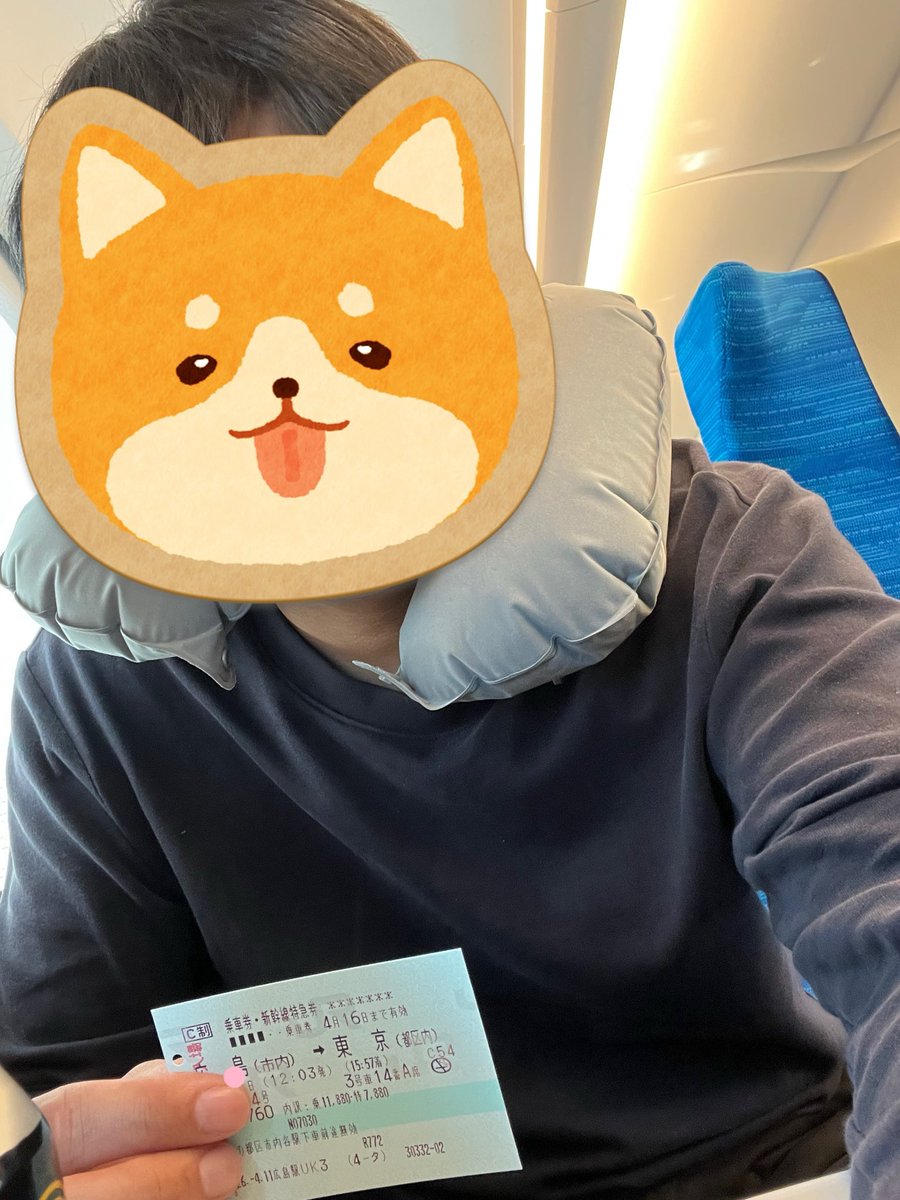 おじいさんゴリラ🦍 tweet media