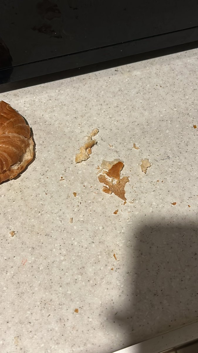 Swaggerboy tweet media