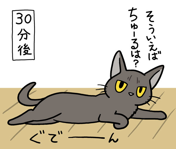 猫様を定期的なアレで病院にお連れした。帰宅後はいつも念入りに点検して回られる。 